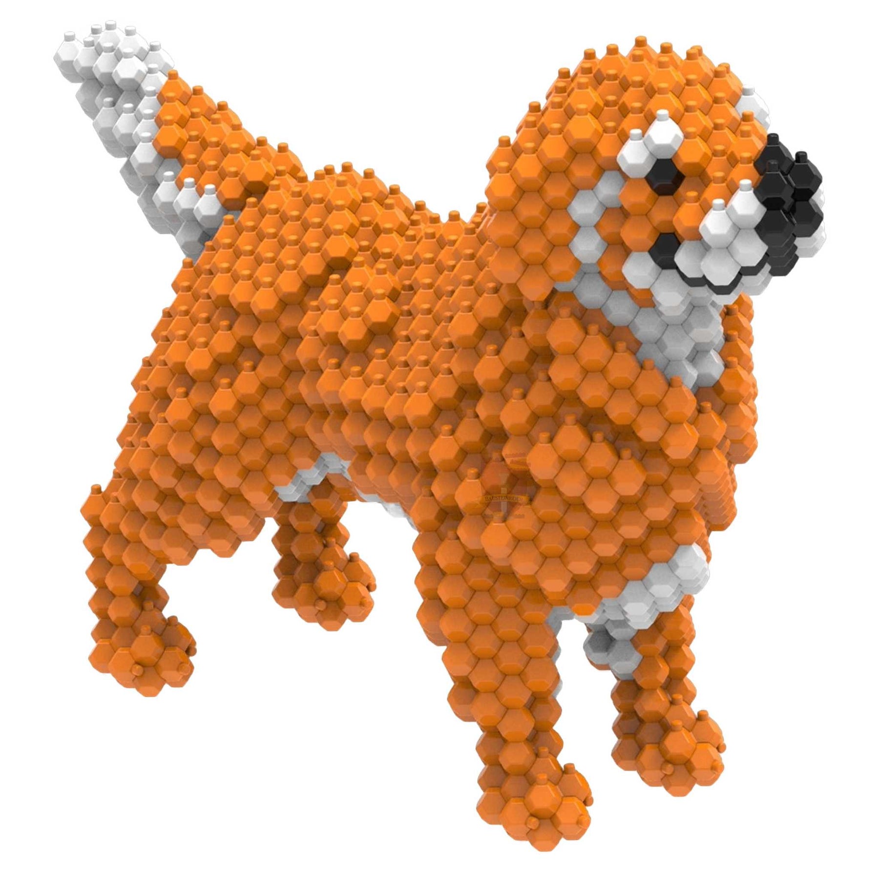 57023 - Golden Retriever (Kadele)