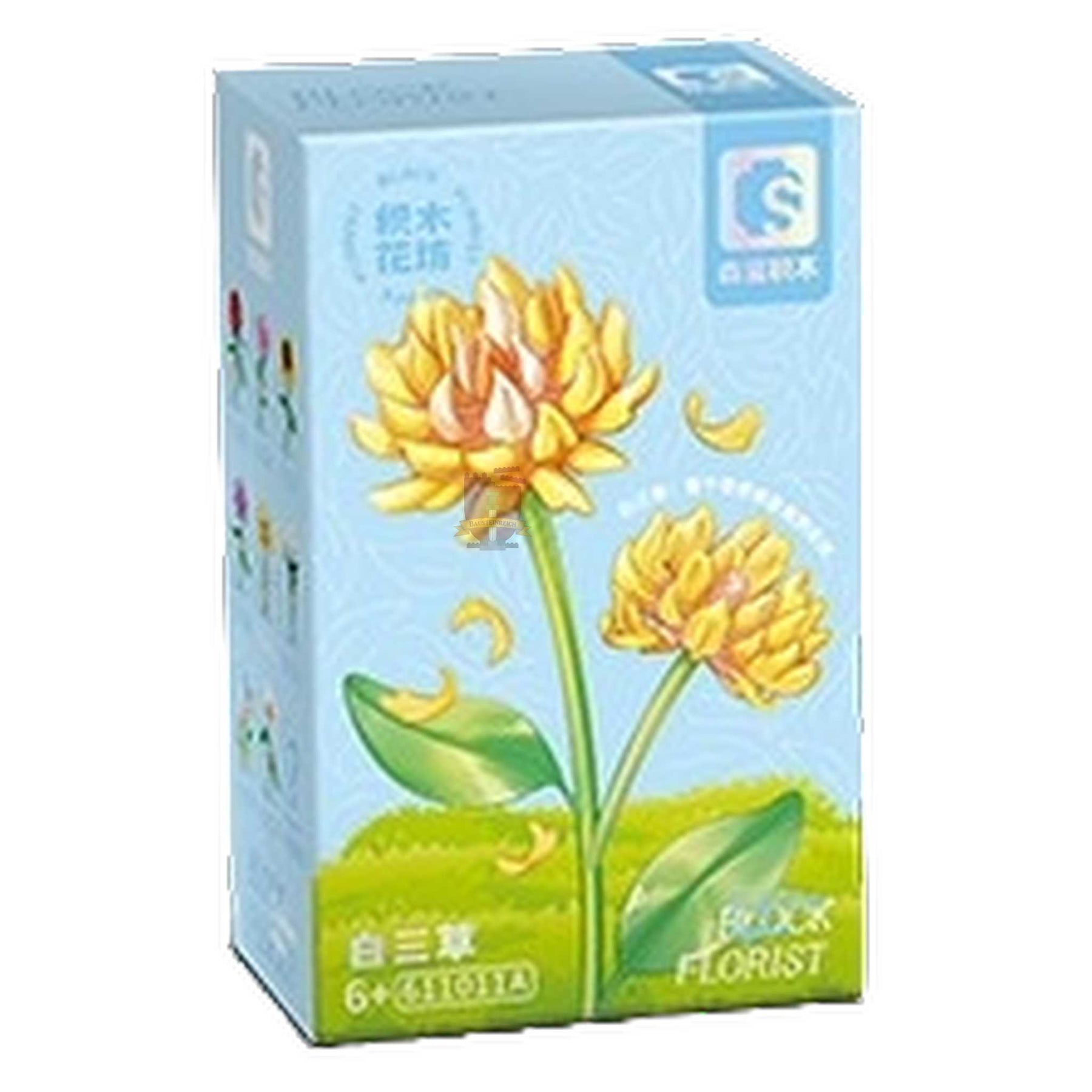 611011A - Chrysantheme gelb (Sembo)