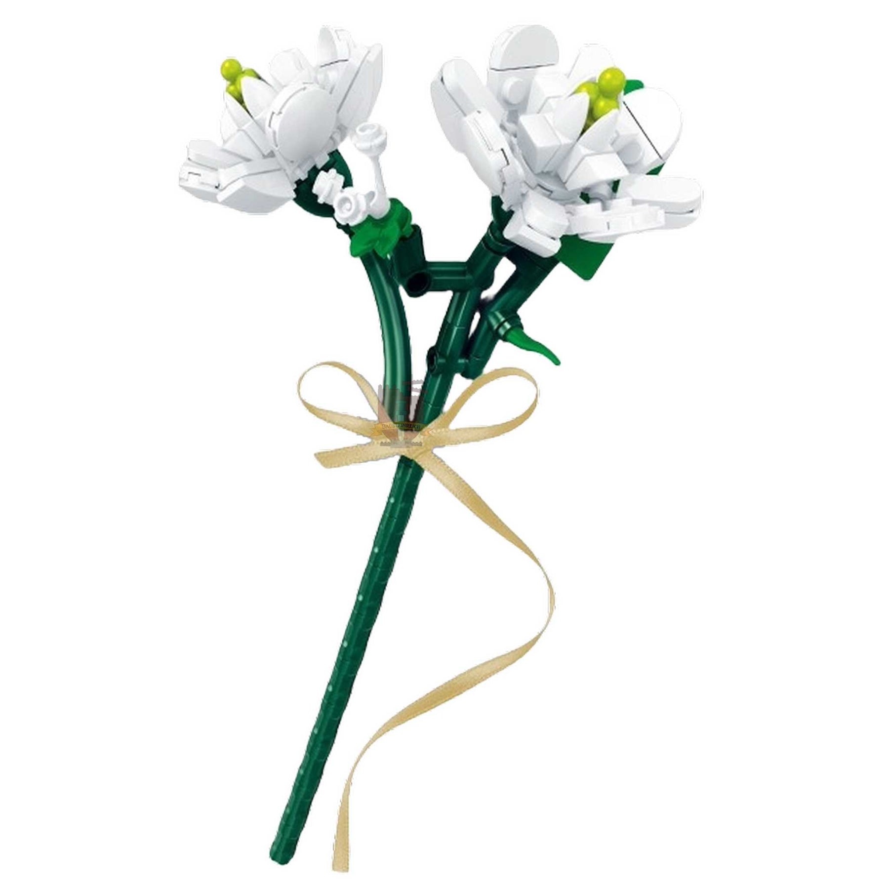 611012 - Jasmin (Sembo)