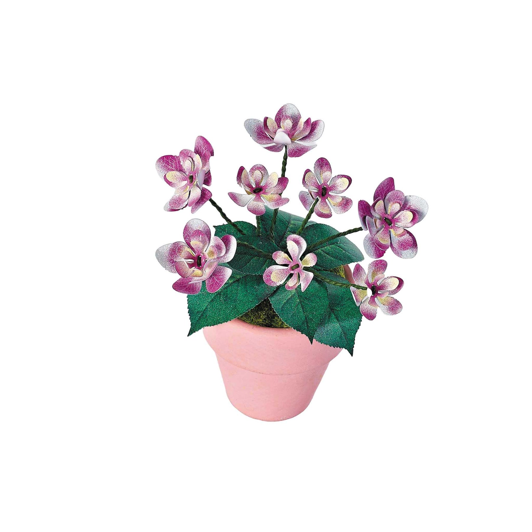 K20801 - Hortensien (Iron Star)