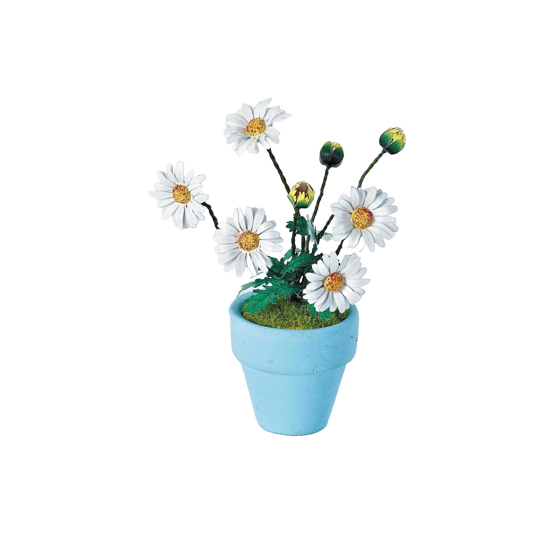 K20805 - Gänseblümchen (Iron Star)