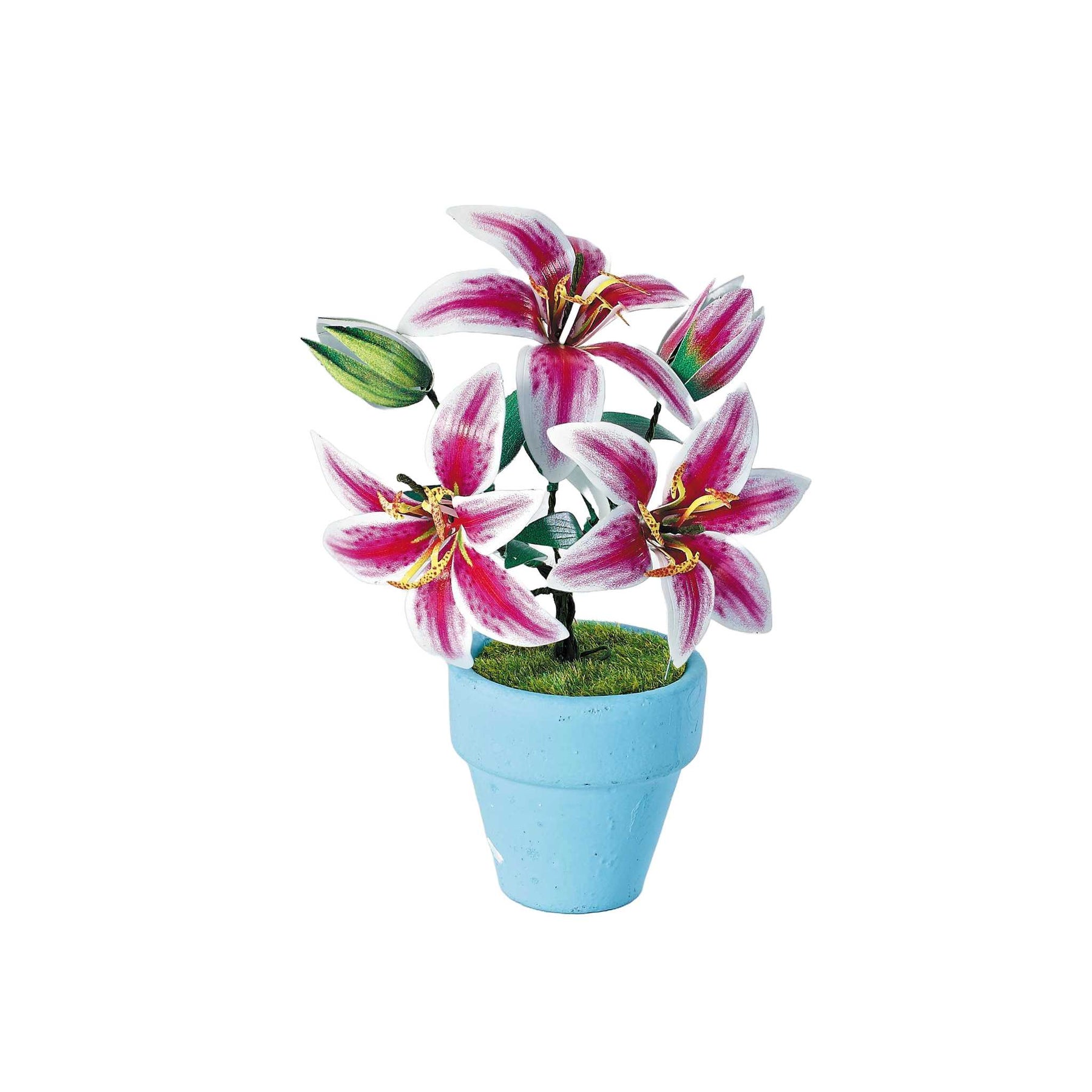 K20806 - Lilien (Iron Star)