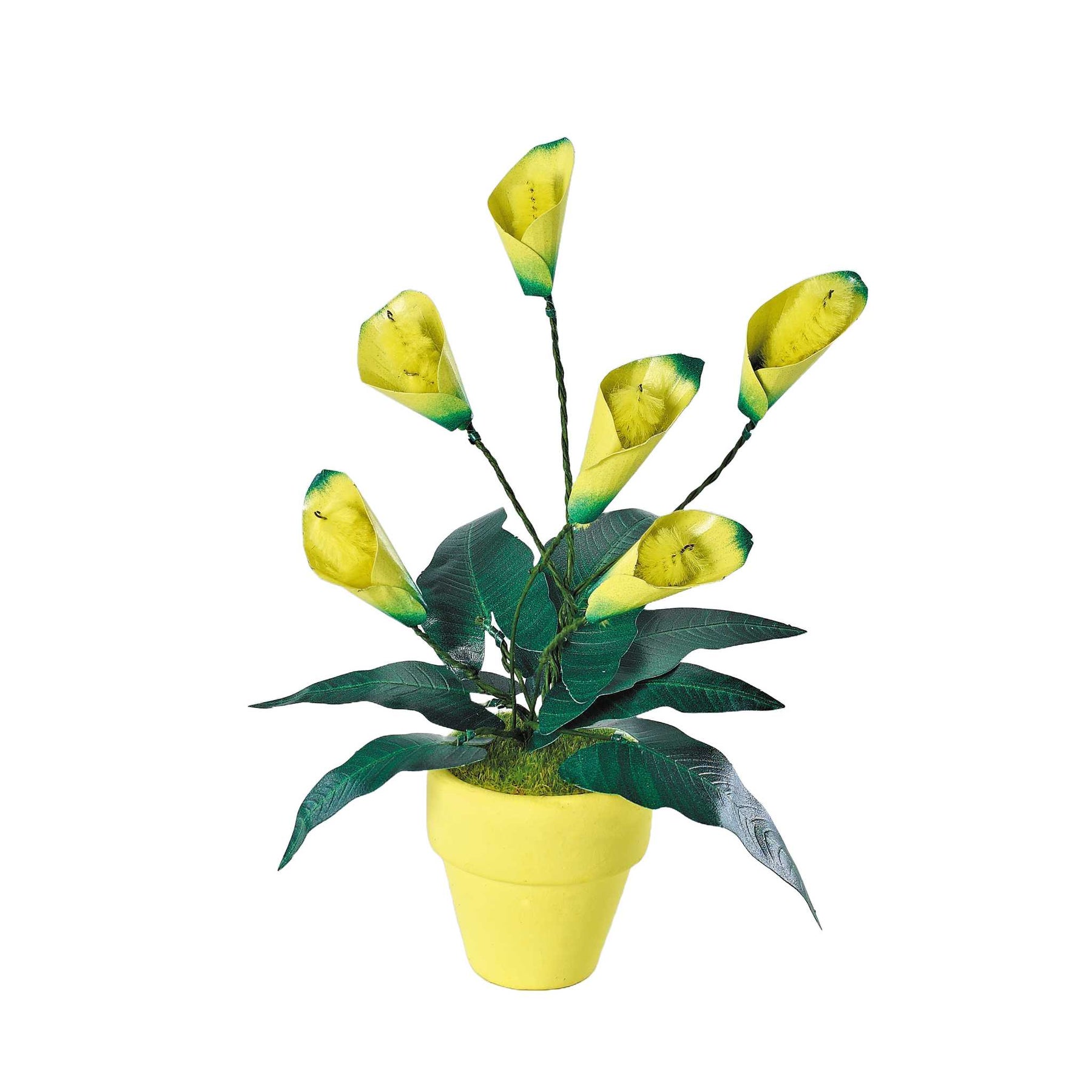 K20809 - Calla Lilien (Iron Star)