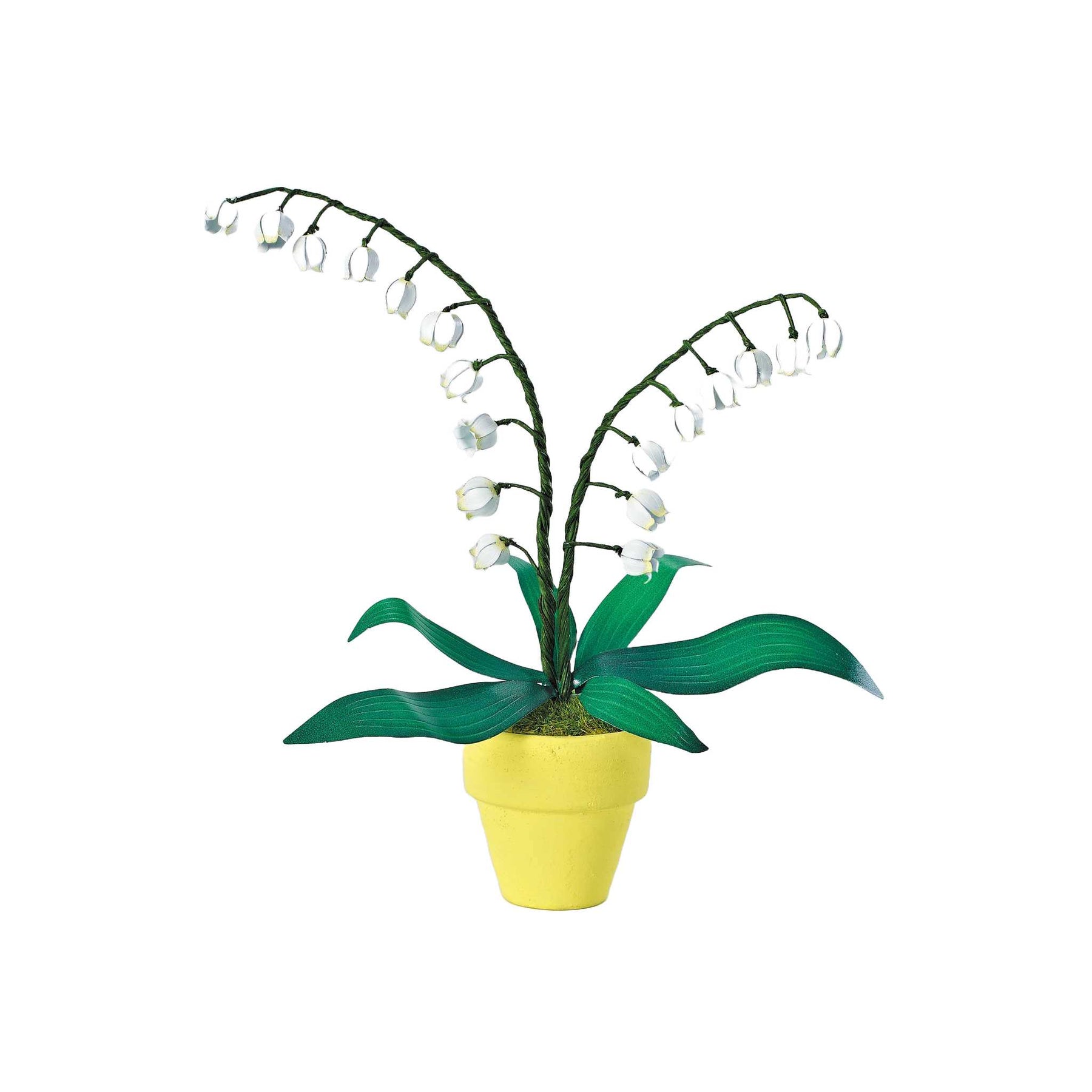 K20810 - Maiglöckchen (Iron Star)