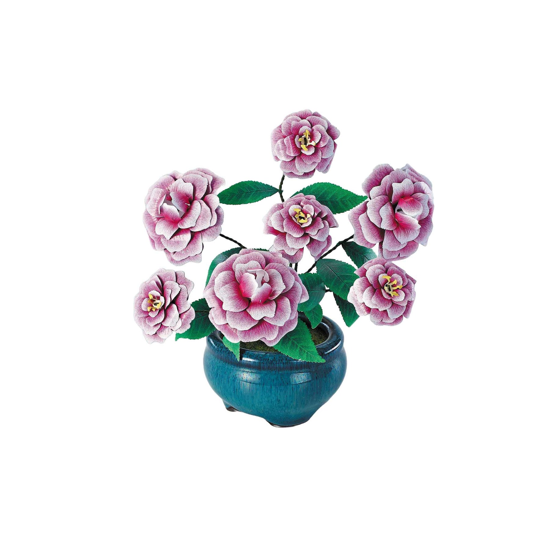 K31113 - Kamelien (Iron Star)