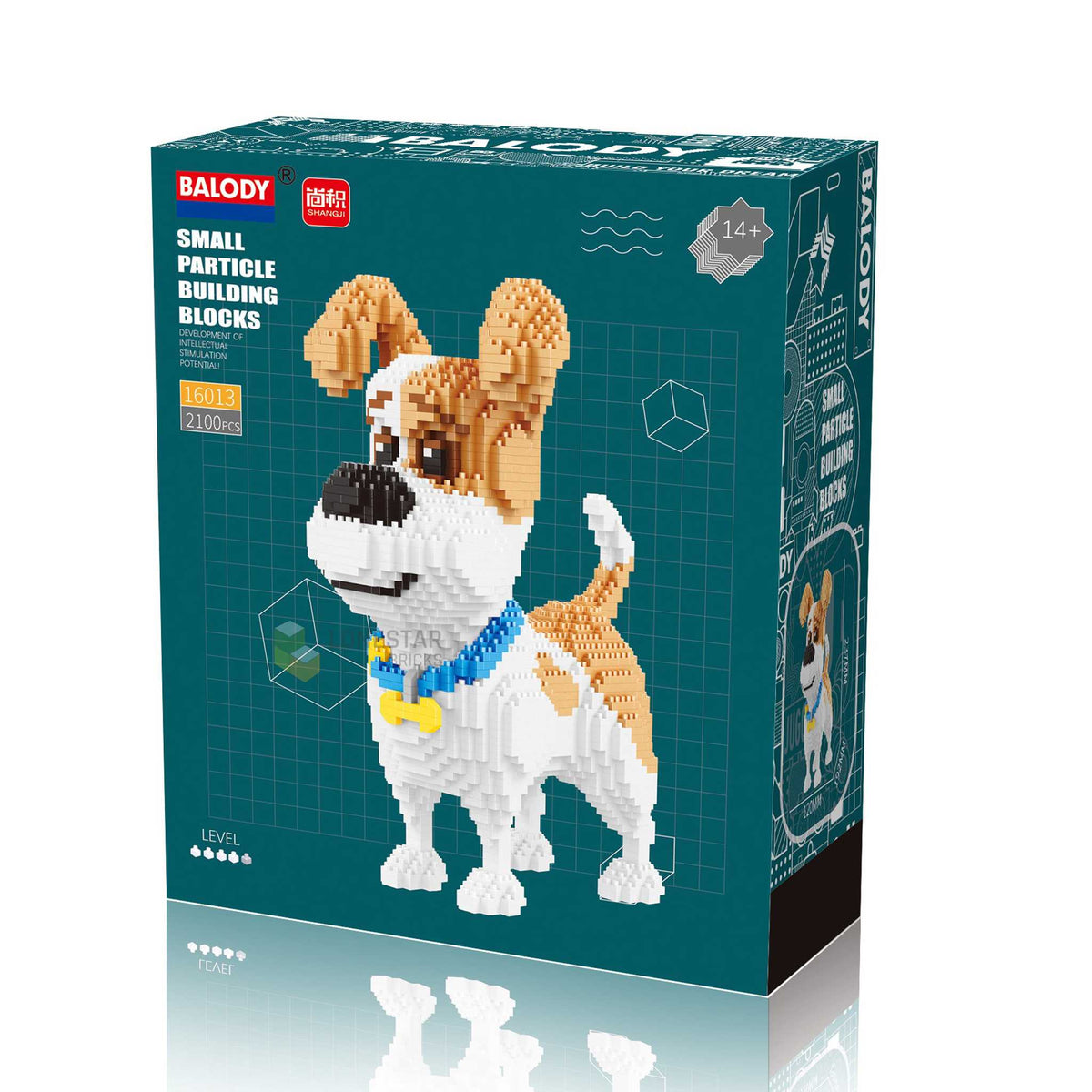 16013 - Jack Russel Terrier (Balody)