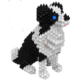 57028 - Border Collie (Kadele)