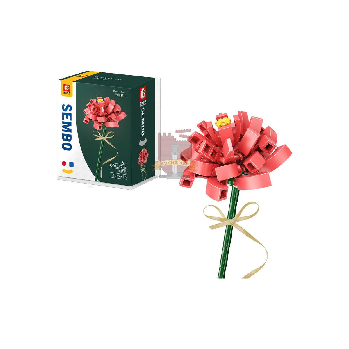601237B - Kamelie Koralle (Sembo)