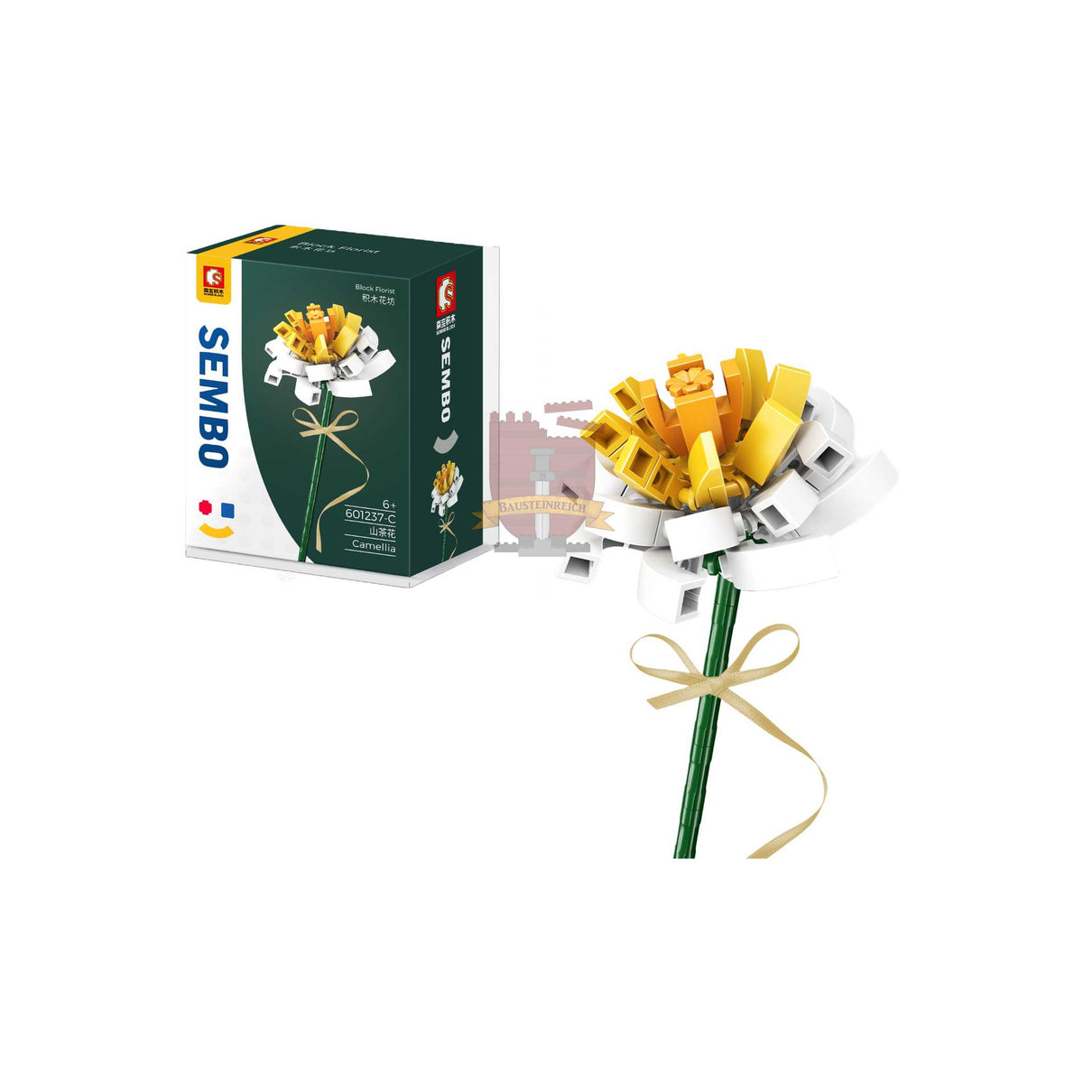 601237C - Kamelie weiß (Sembo)
