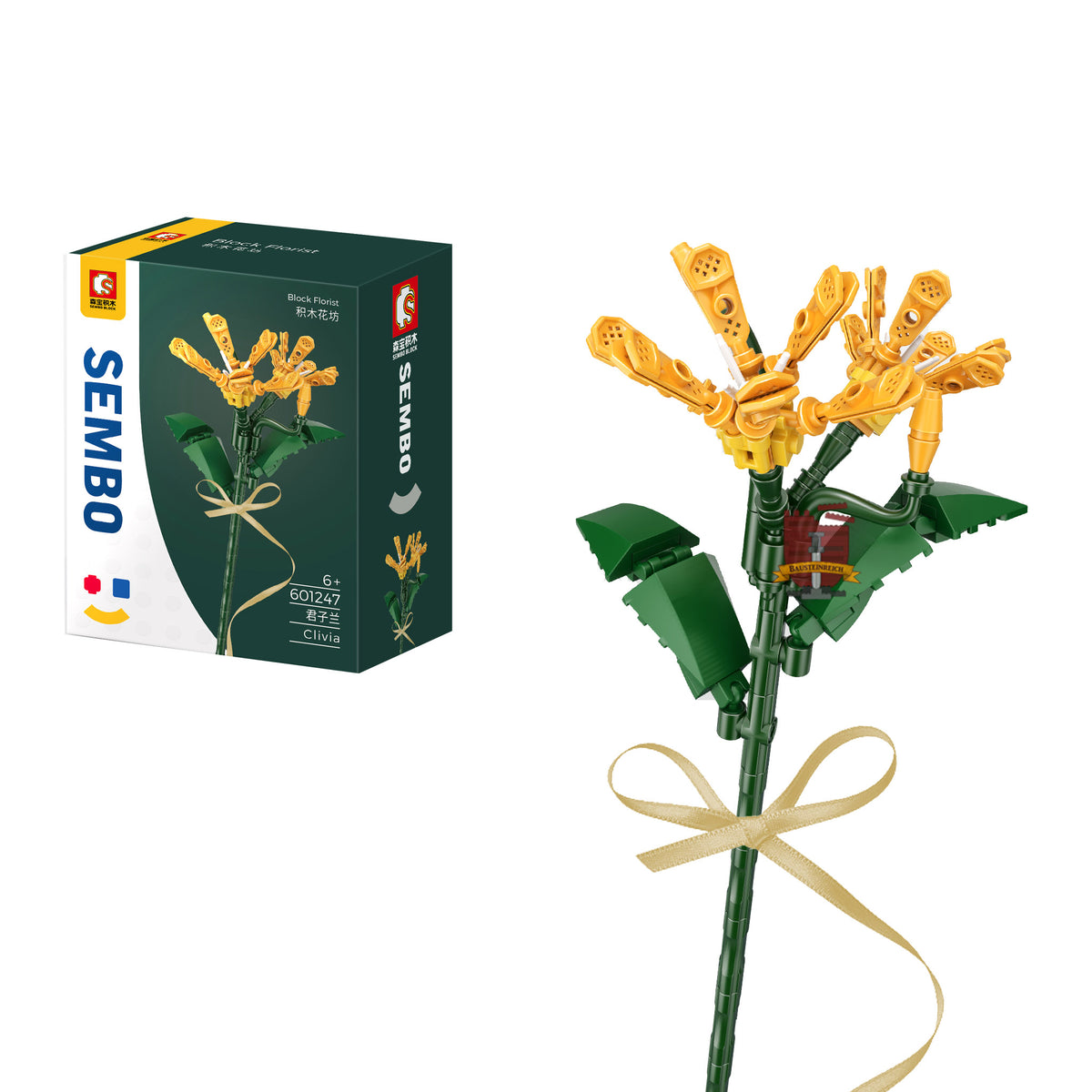 601247 - Clivia Blume (Sembo)