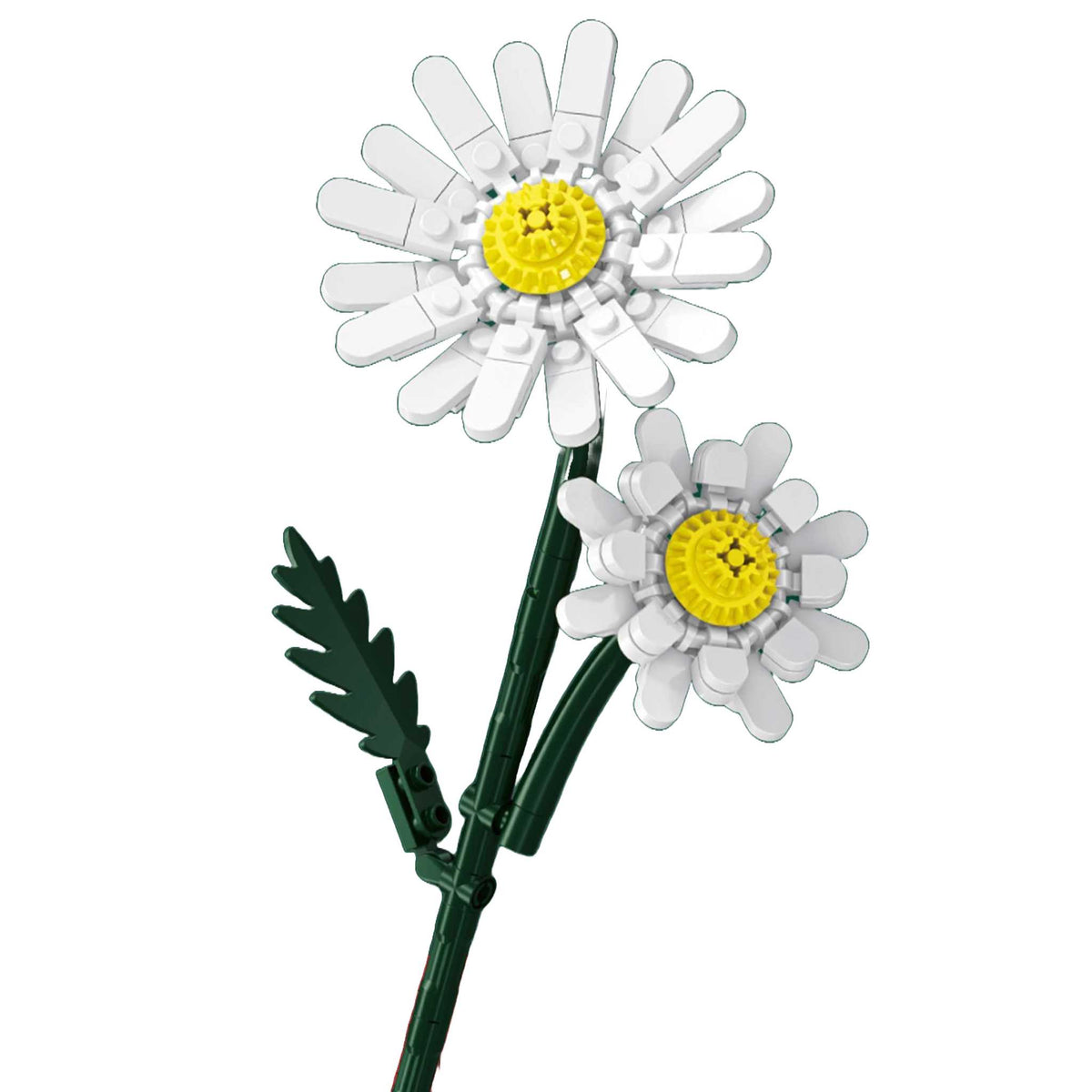 601281 - Gänseblümchen (Sembo)