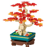 601313 - Ahorn-Bonsai (Sembo)