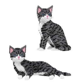 B-16642 - 2in1 Chinesische Tigerkatze (Balody)