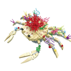 JJ9153 - Krabbe (Jie Star)