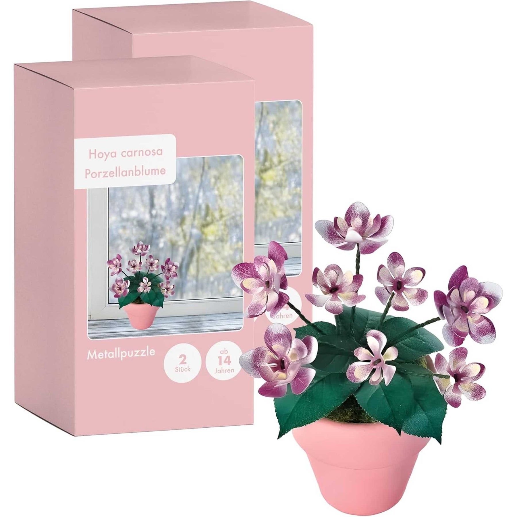 K20801 - Hortensien (Iron Star)