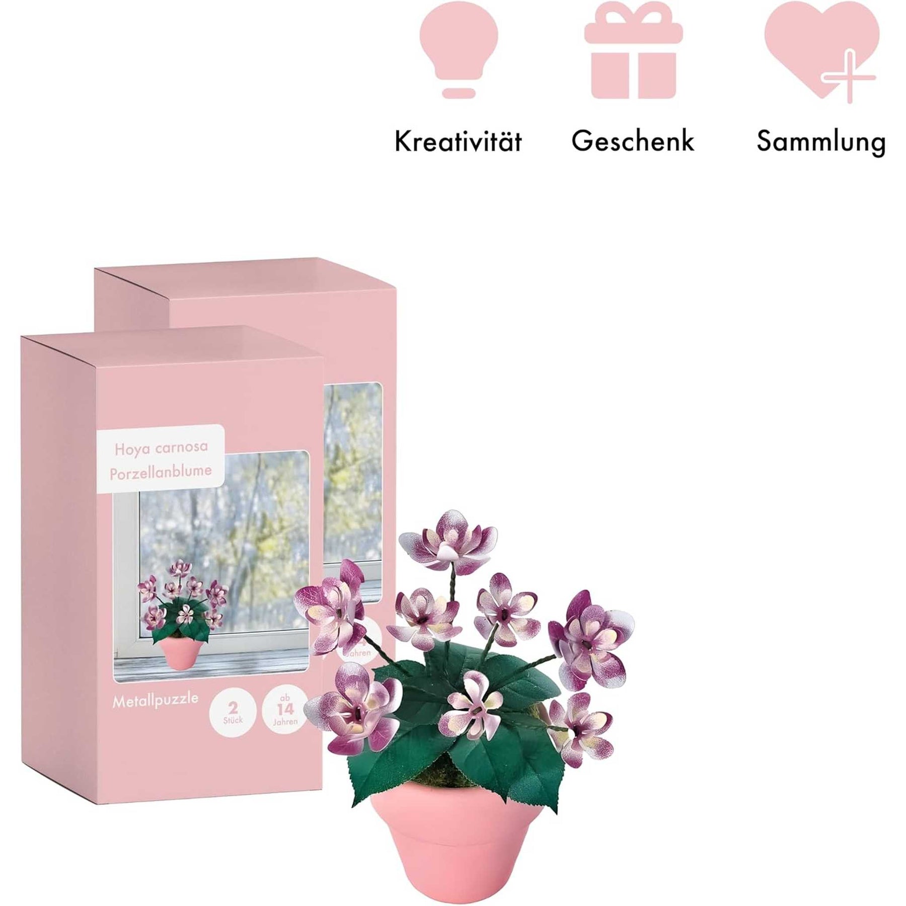 K20801 - Hortensien (Iron Star)