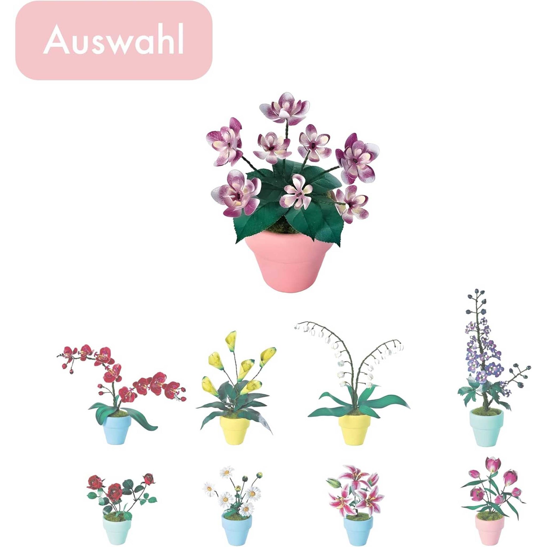 K20801 - Hortensien (Iron Star)