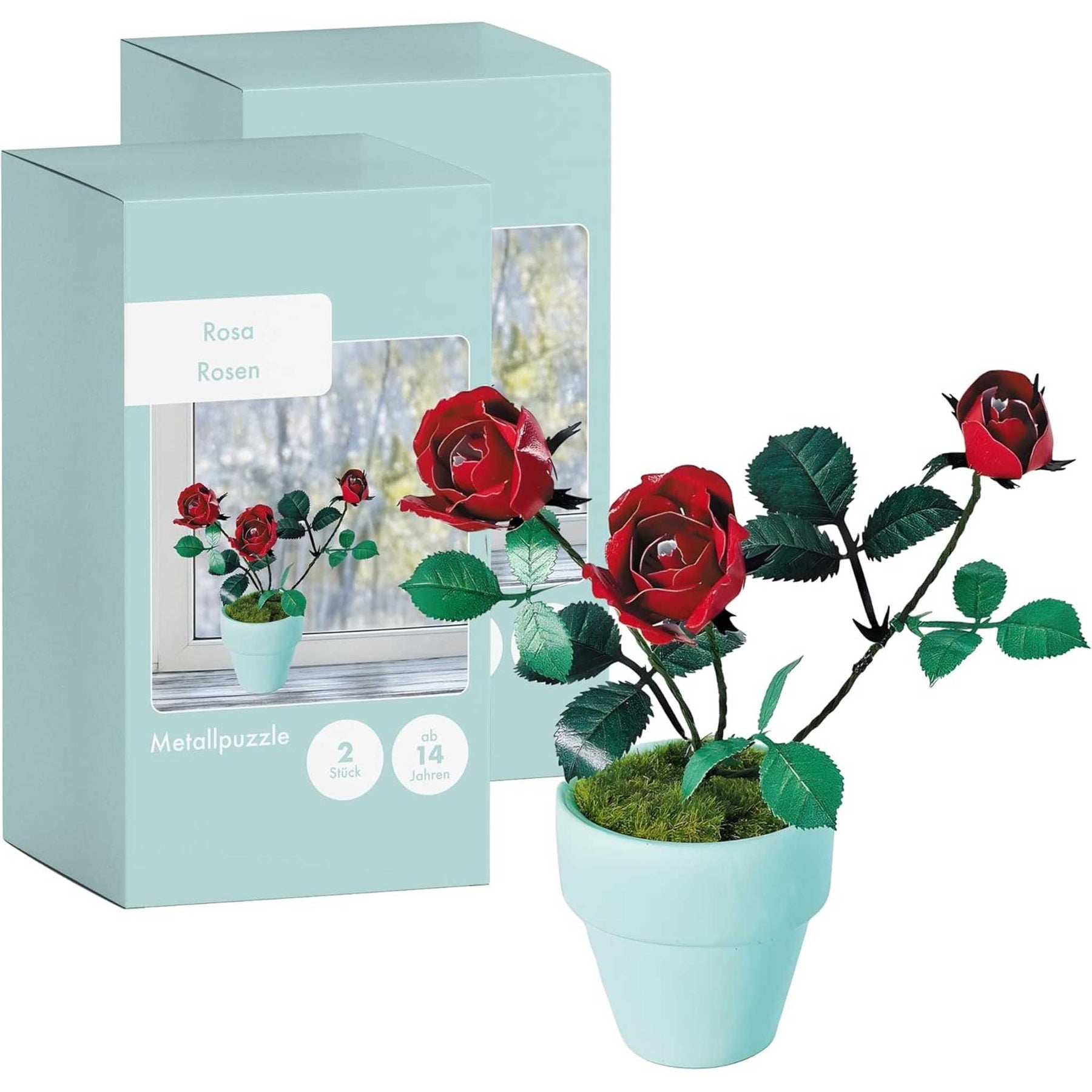 K20803 - Rote Rosen (Iron Star)