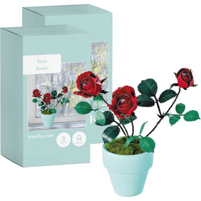 K20803 - Rote Rosen (Iron Star)