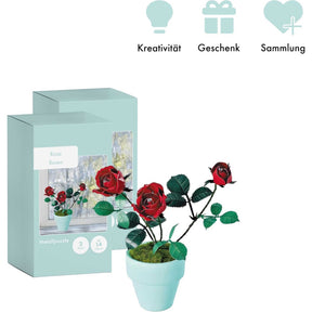 K20803 - Rote Rosen (Iron Star)