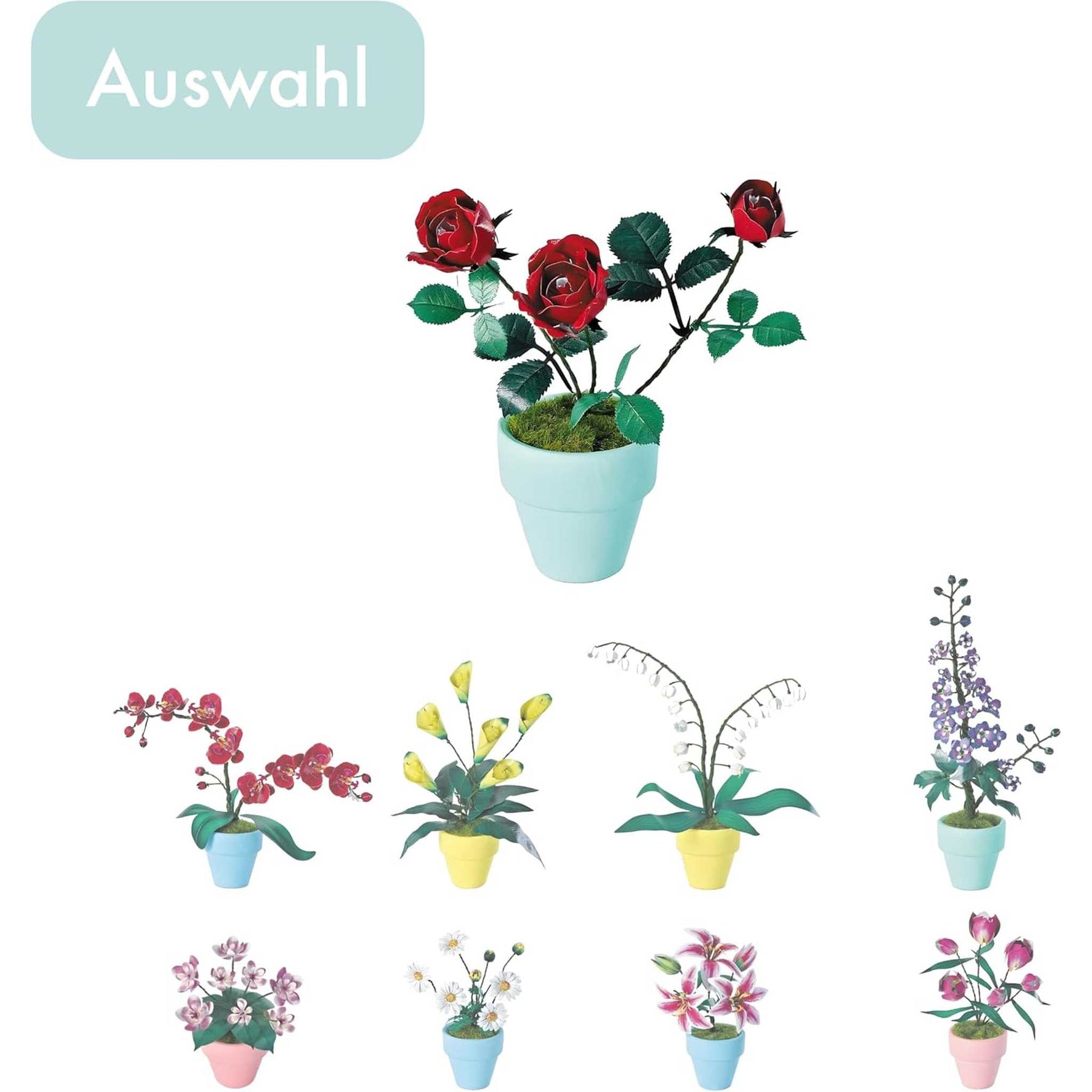 K20803 - Rote Rosen (Iron Star)