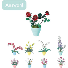 K20803 - Rote Rosen (Iron Star)