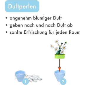 K20805 - Gänseblümchen (Iron Star)