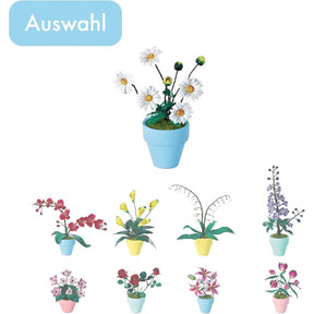 K20805 - Gänseblümchen (Iron Star)