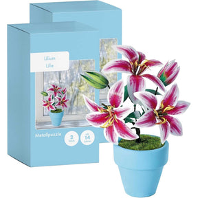 K20806 - Lilien (Iron Star)