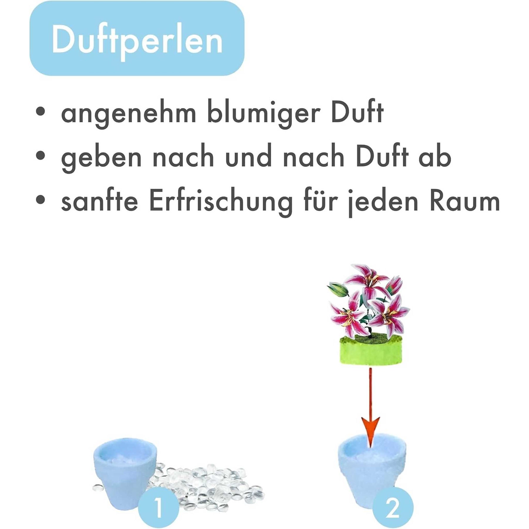 K20806 - Lilien (Iron Star)