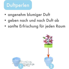 K20806 - Lilien (Iron Star)