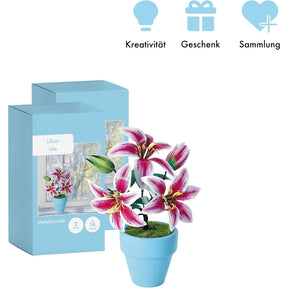 K20806 - Lilien (Iron Star)