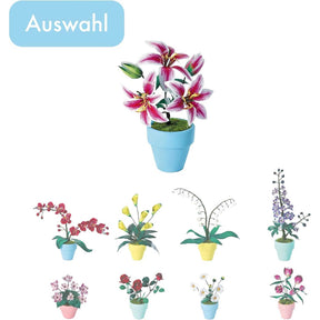 K20806 - Lilien (Iron Star)