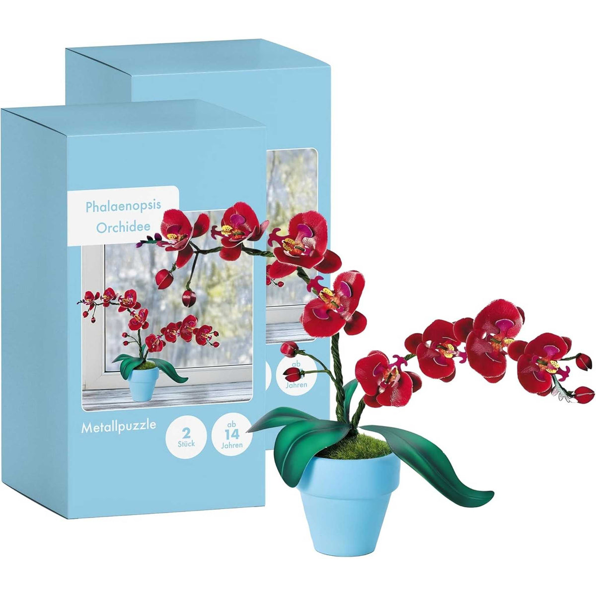 K20807 - Orchideen (Iron Star)