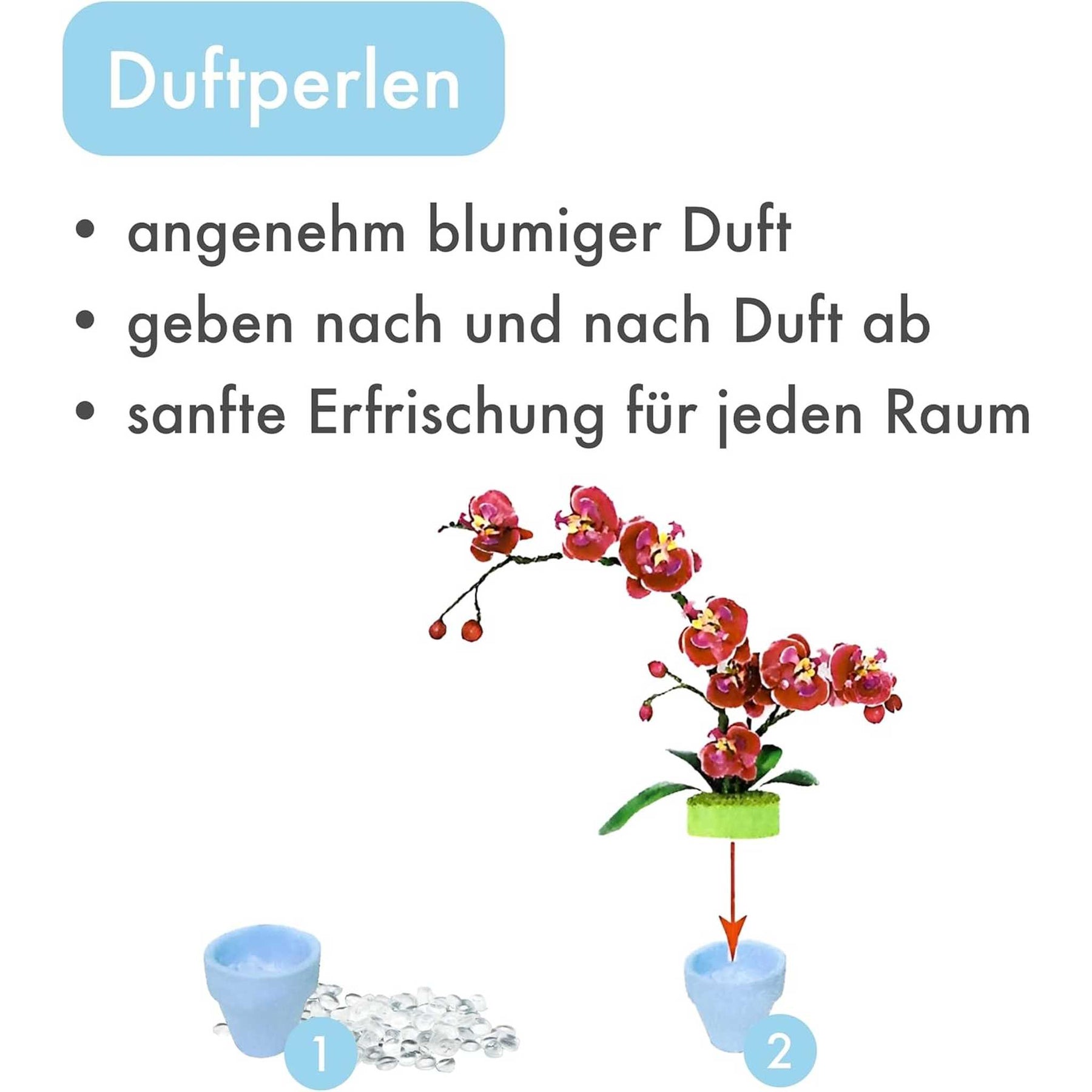 K20807 - Orchideen (Iron Star)