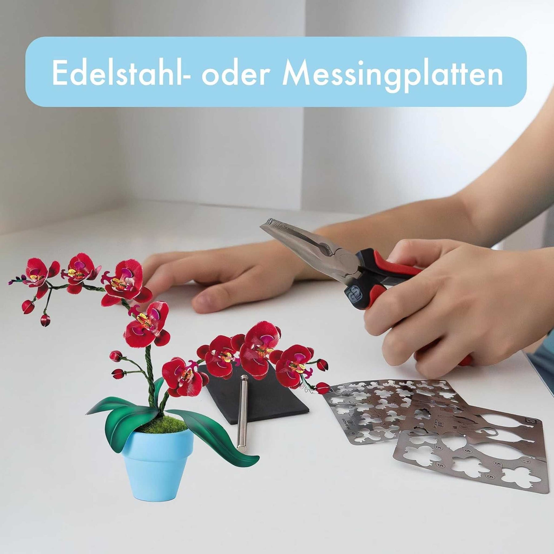 K20807 - Orchideen (Iron Star)