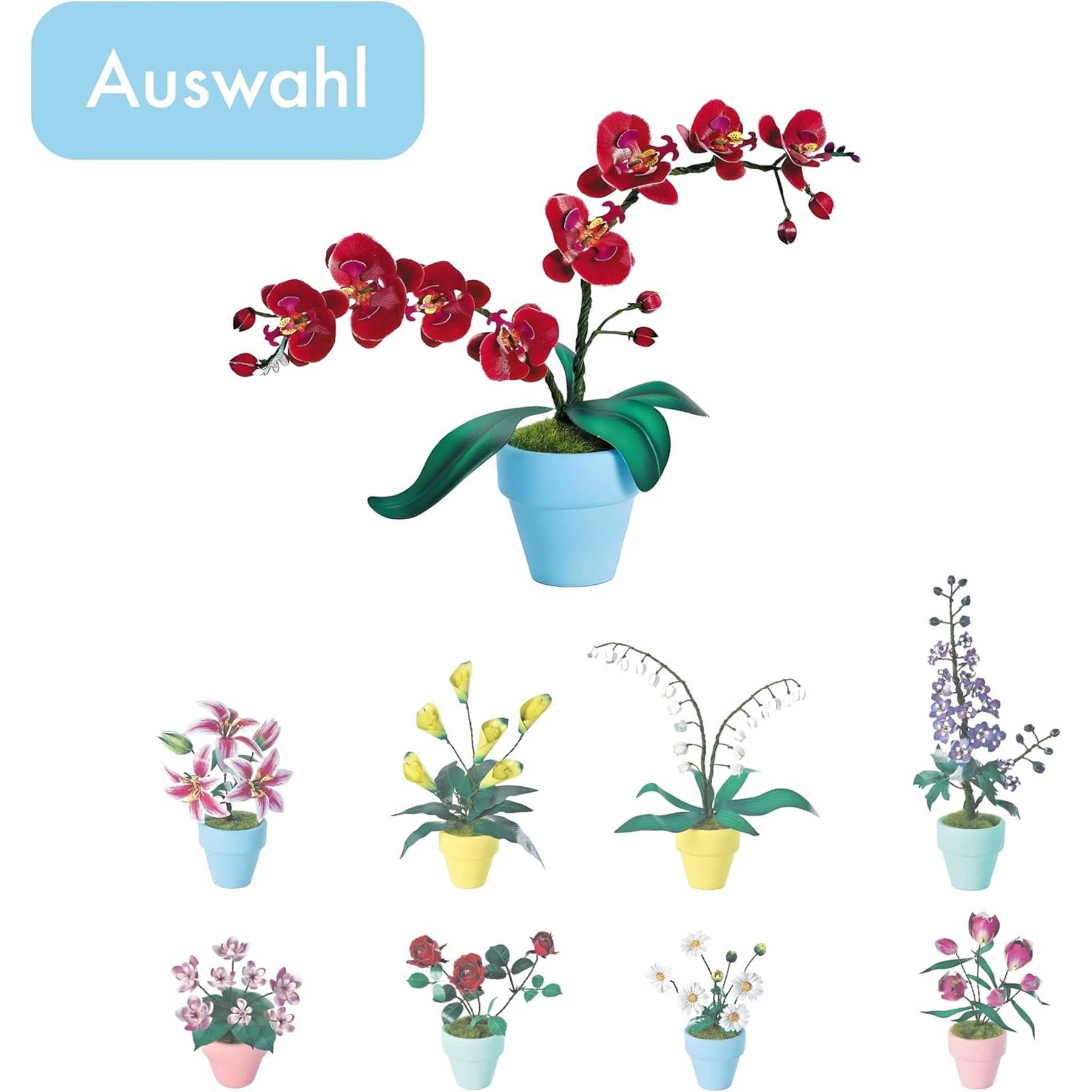 K20807 - Orchideen (Iron Star)