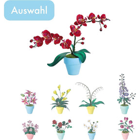 K20807 - Orchideen (Iron Star)