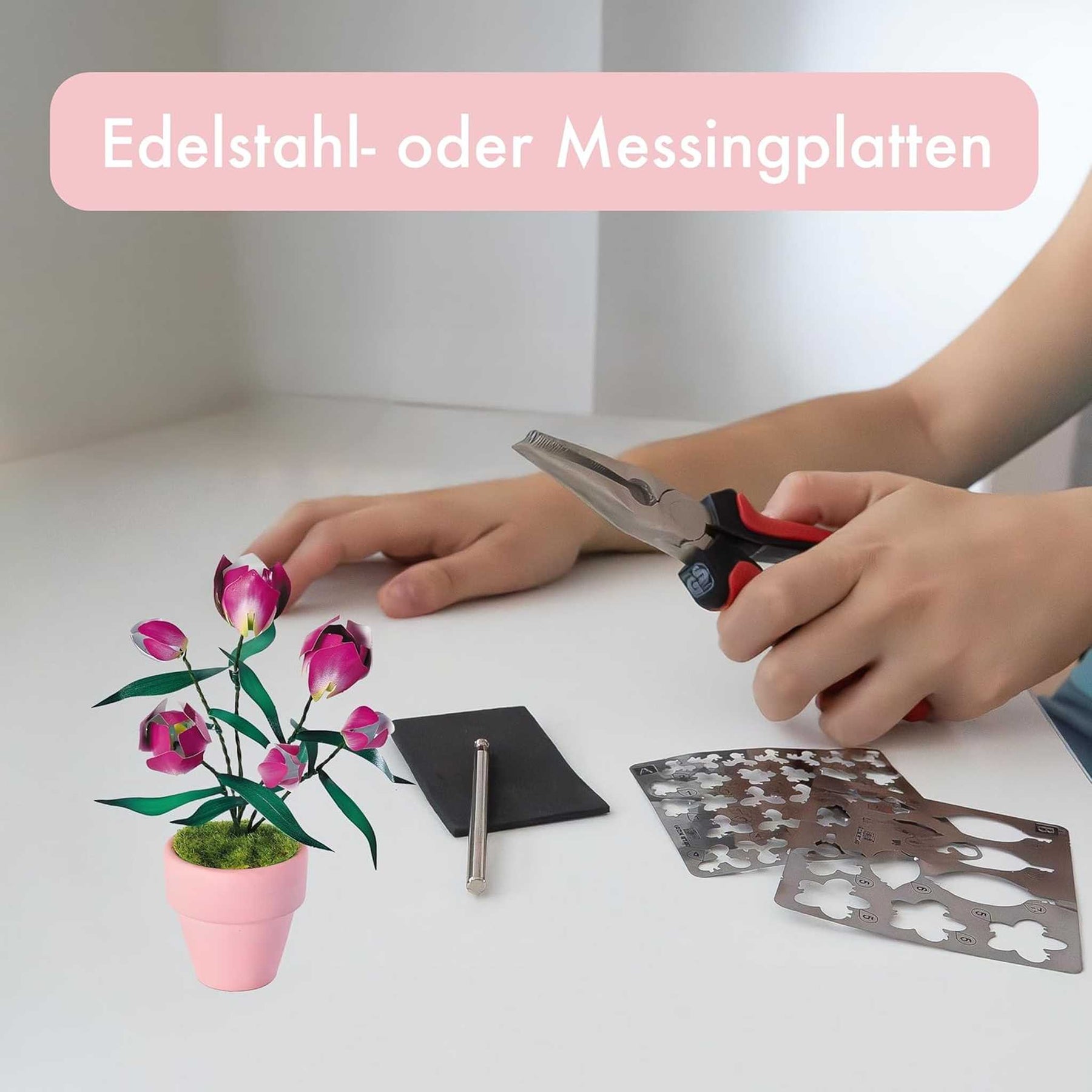 K20808 - Lila Tulpen (Iron Star)