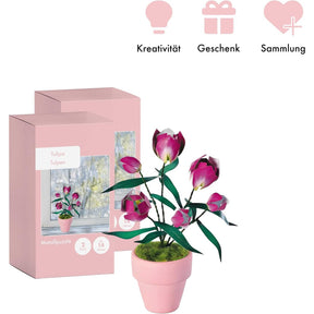 K20808 - Lila Tulpen (Iron Star)