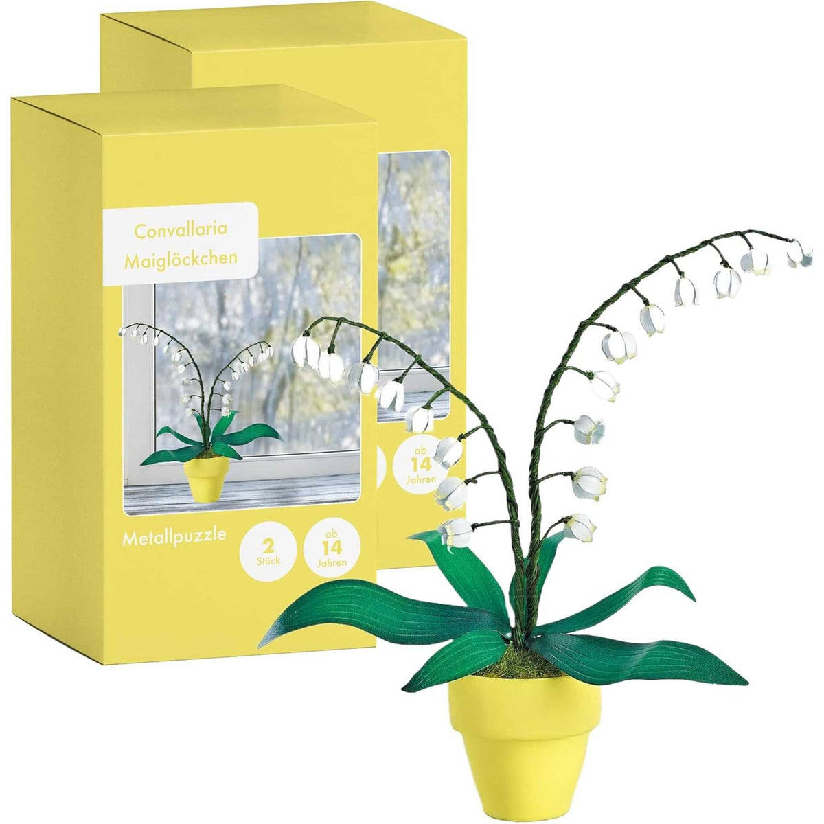 K20810 - Maiglöckchen (Iron Star)