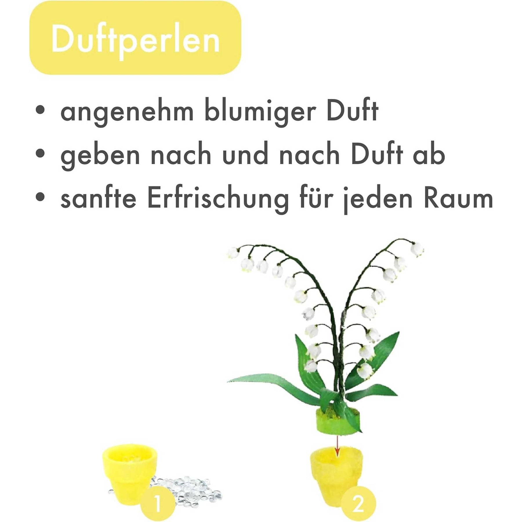 K20810 - Maiglöckchen (Iron Star)