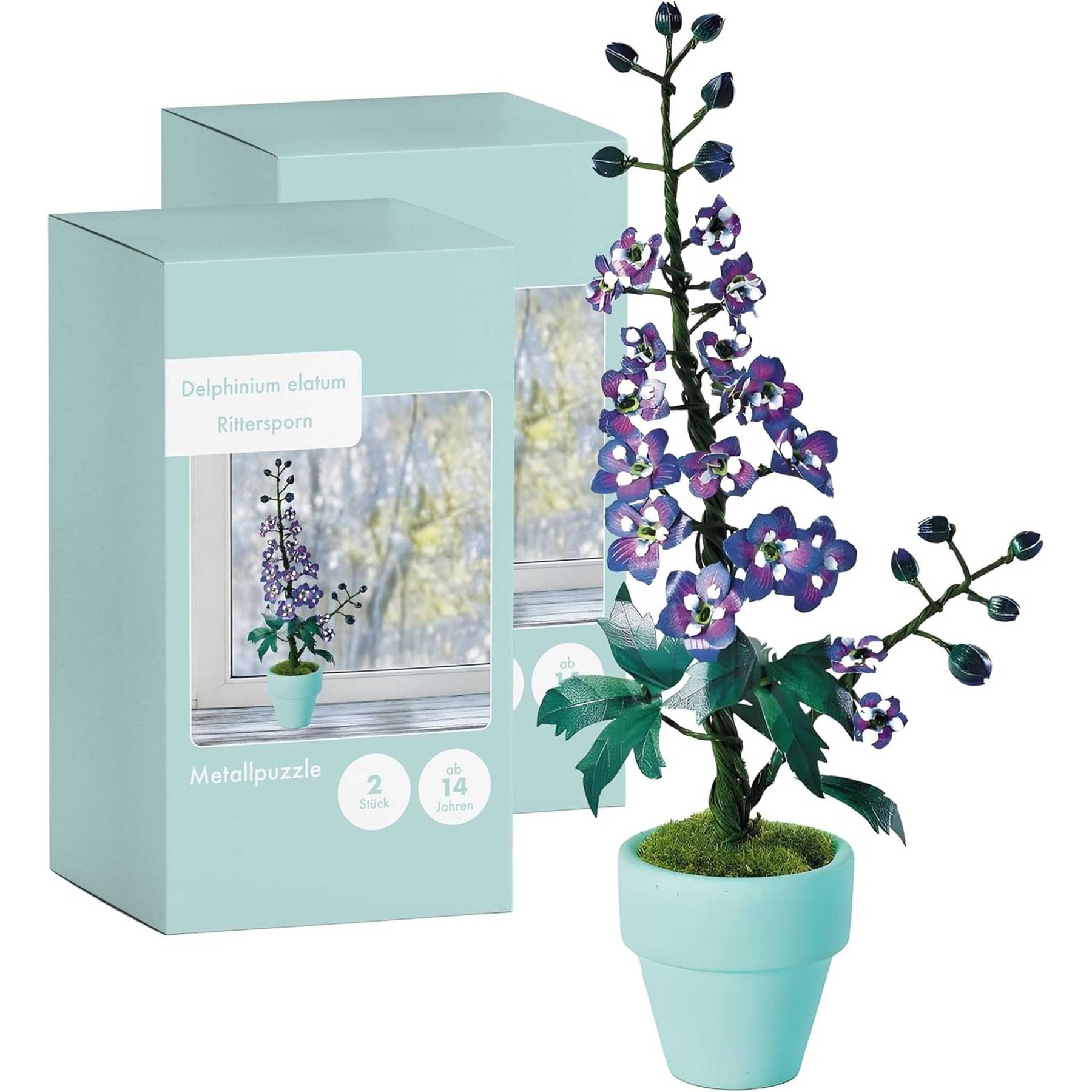 K20811 - Rittersporn (Iron Star)