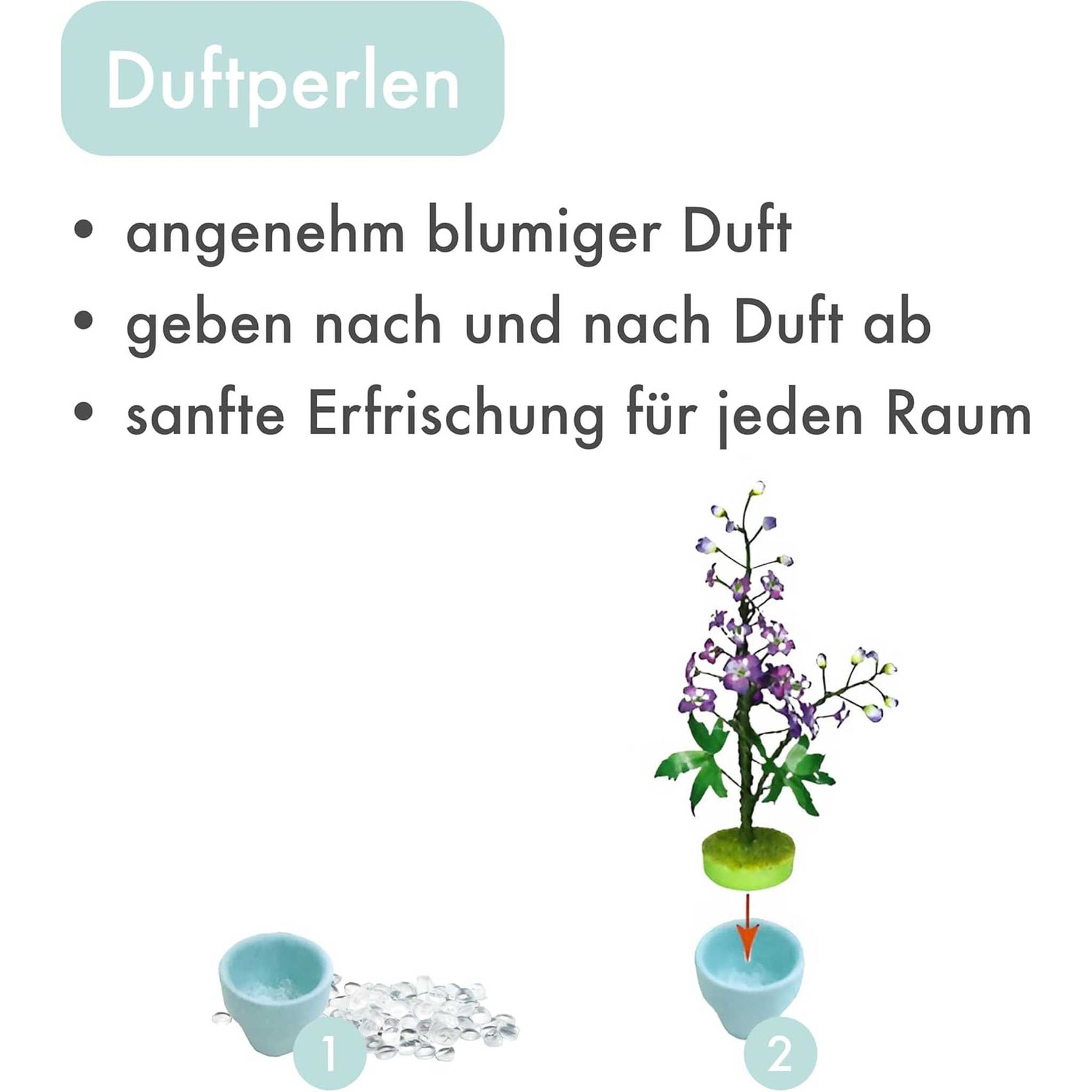 K20811 - Rittersporn (Iron Star)