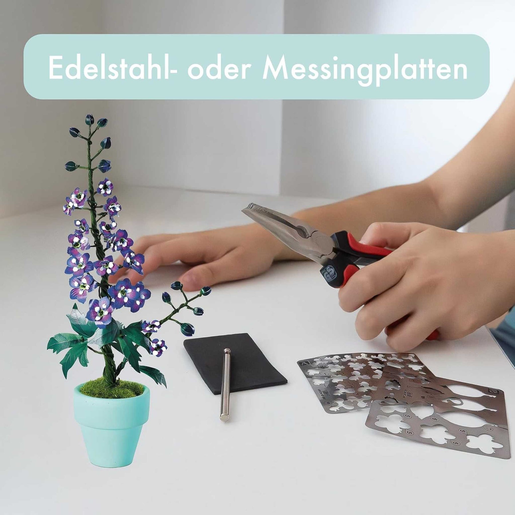 K20811 - Rittersporn (Iron Star)