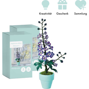 K20811 - Rittersporn (Iron Star)