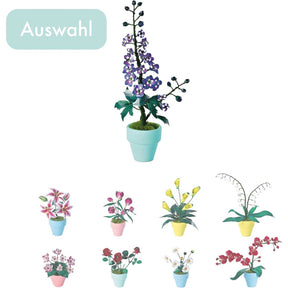 K20811 - Rittersporn (Iron Star)