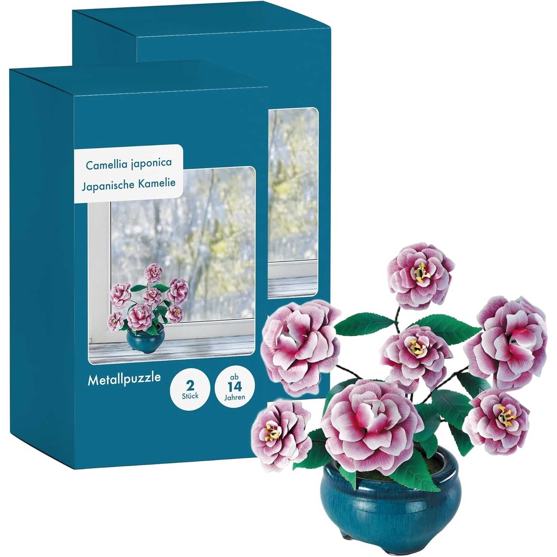 K31113 - Kamelien (Iron Star)