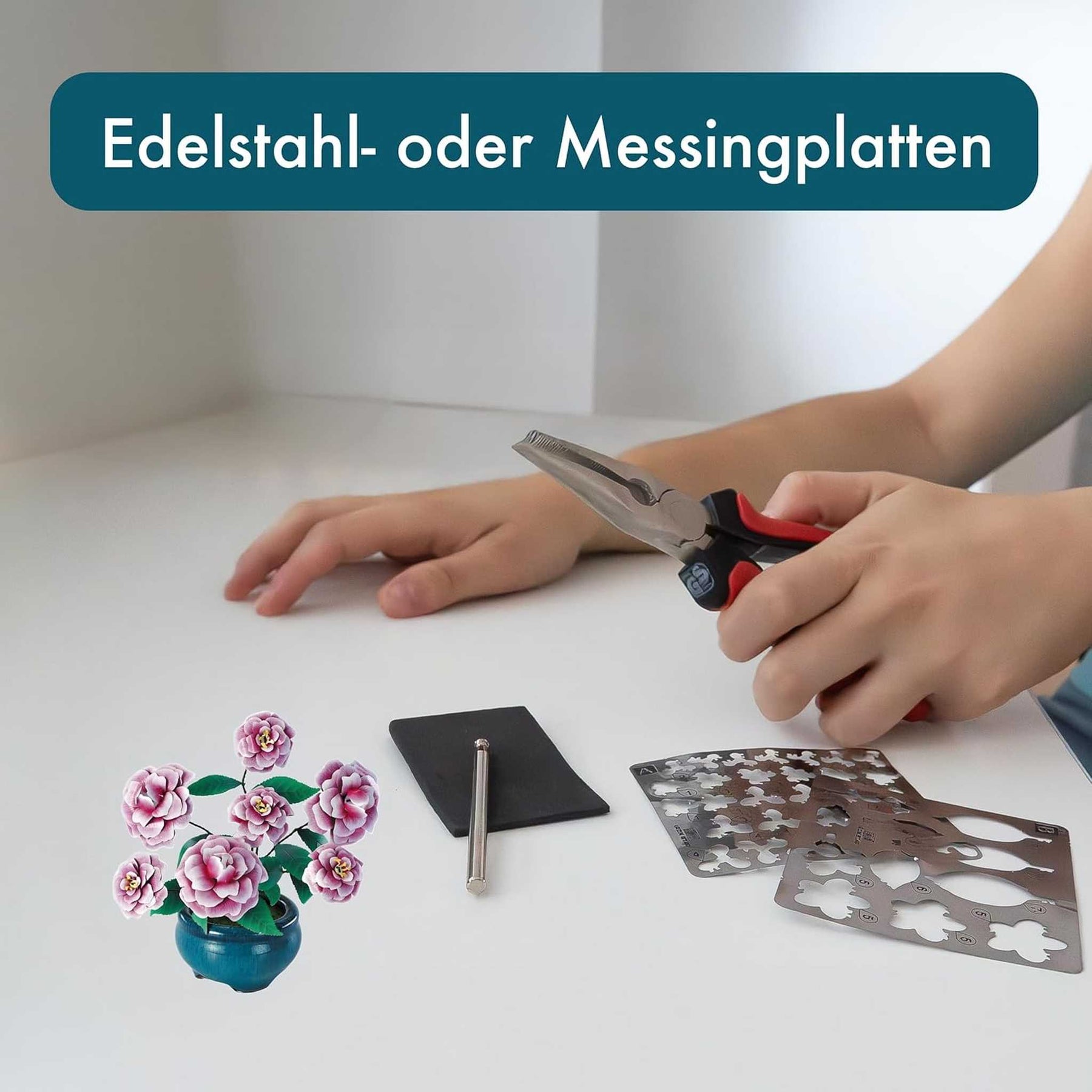 K31113 - Kamelien (Iron Star)