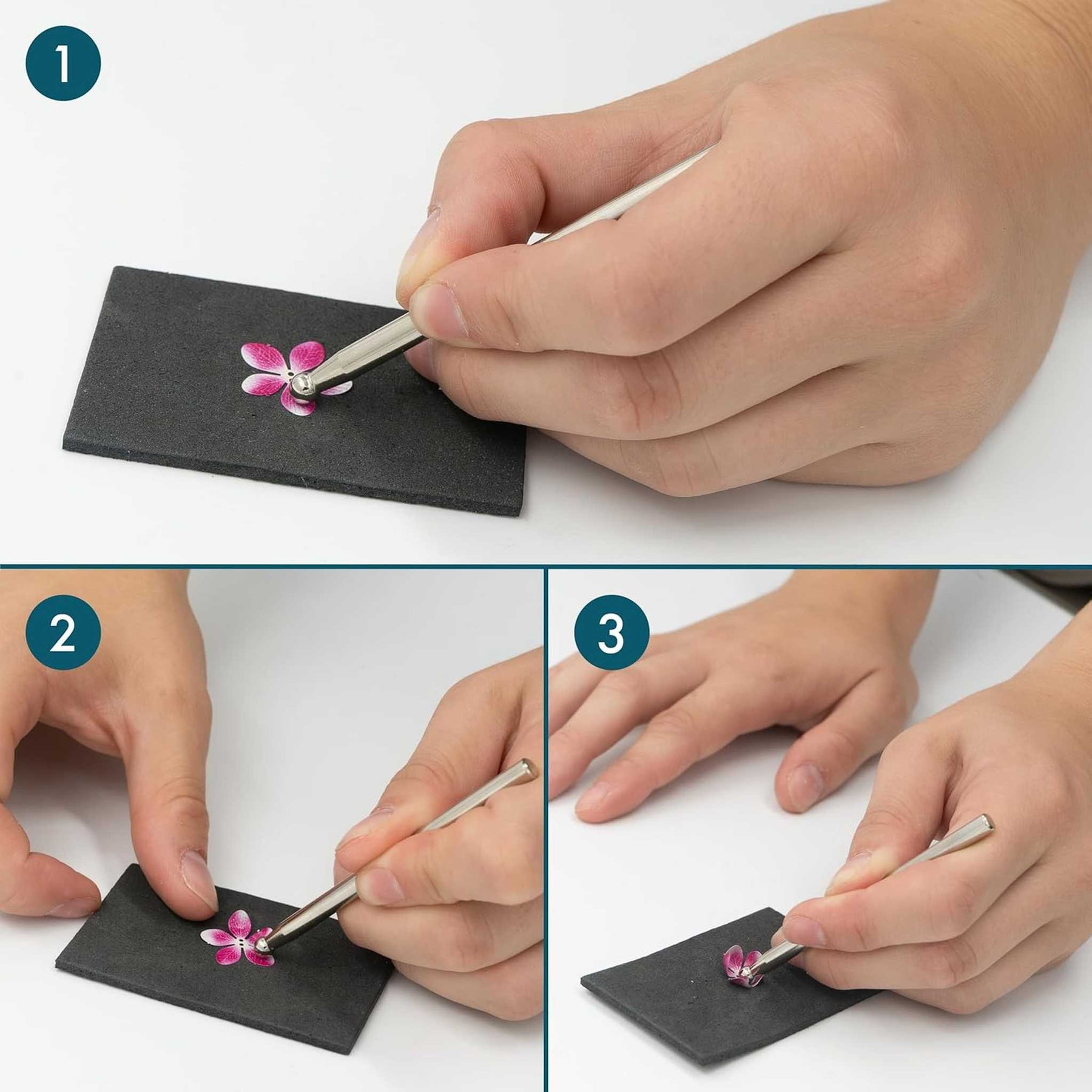 K31113 - Kamelien (Iron Star)